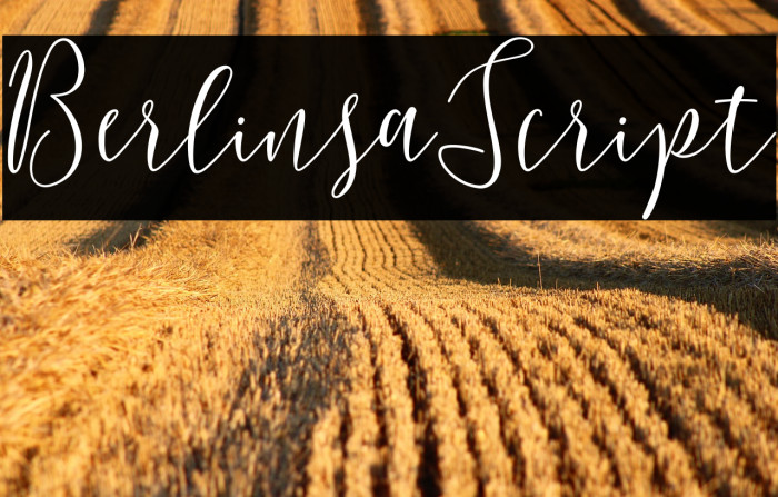 BerlinsaScript Example 3