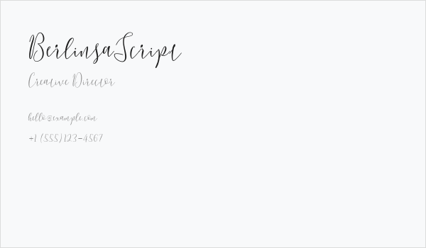 BerlinsaScript Business Card