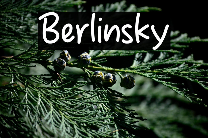 Berlinsky Example 3