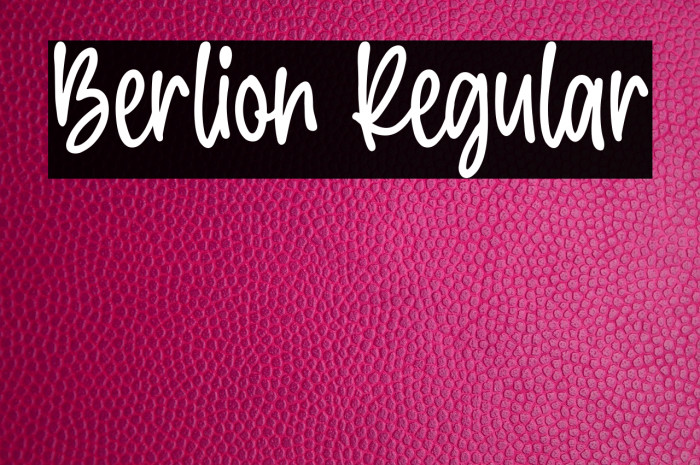 Berlion Regular Example 1