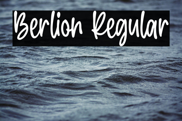 Berlion Regular Example 2