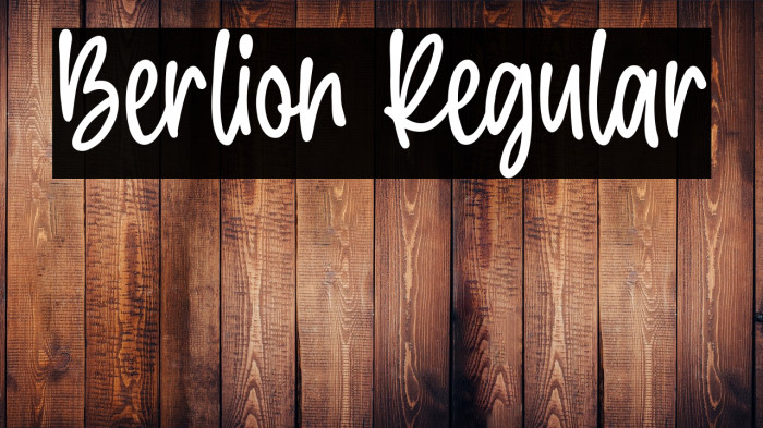 Berlion Regular Example 3