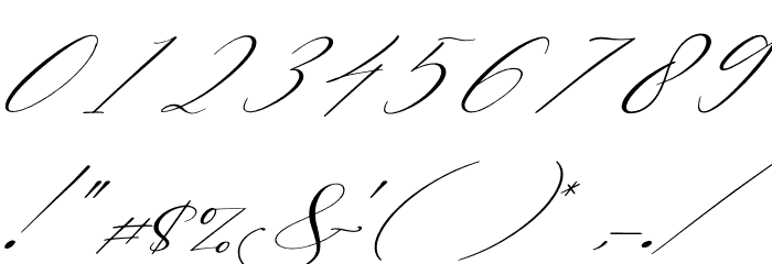 Berlishanty Calligraphy Italic Font OTHER CHARS