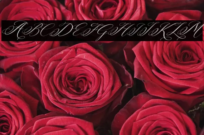 Berlishanty Calligraphy Italic Example 3