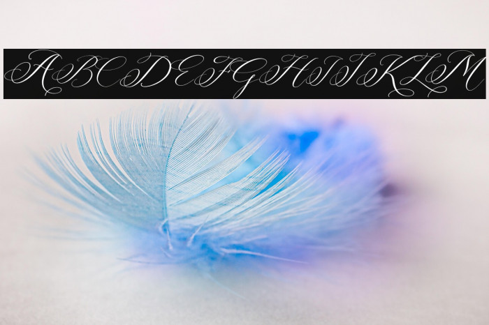 Berlishanty Calligraphy Example 3