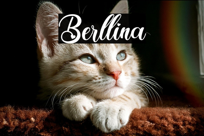 Berllina Example 2