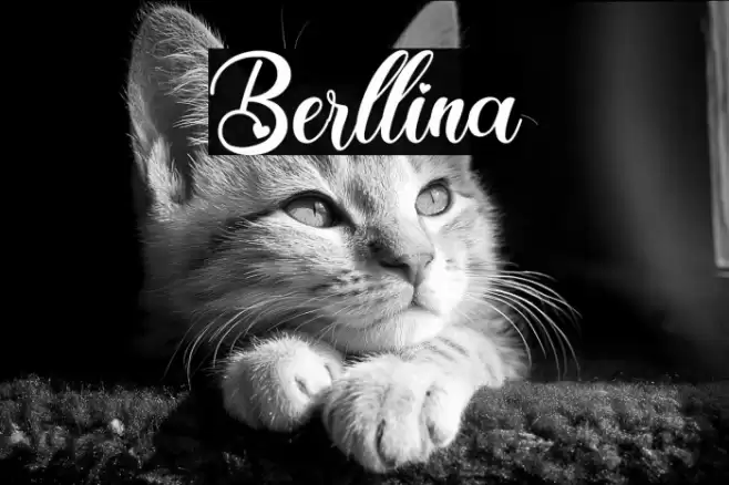 Berllina Font examples