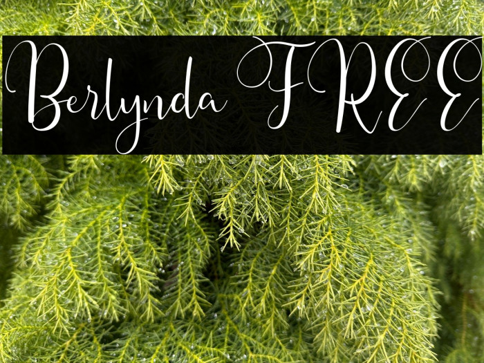 Berlynda FREE Example 2