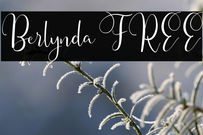 Berlynda FREE Example 3