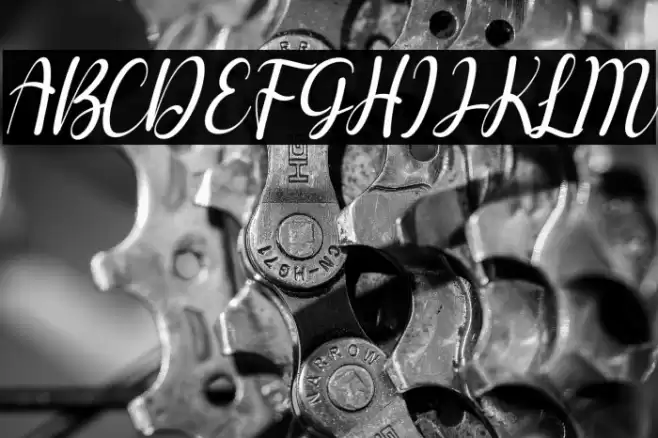 Berlysa Italic Font examples