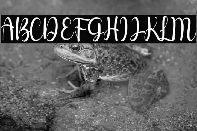 Berlysa Font examples