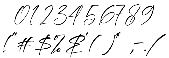 Bermingham Diamond Font OTHER CHARS