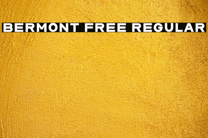 Bermont Free Regular Example 2