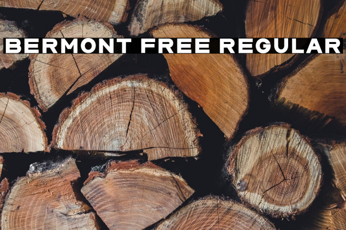Bermont Free Regular Example 3