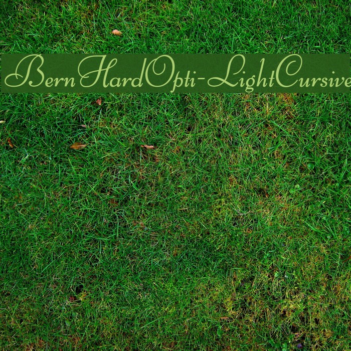 BernHardOpti-LightCursive Font examples