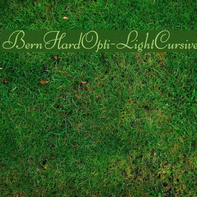 BernHardOpti-LightCursive Example 1