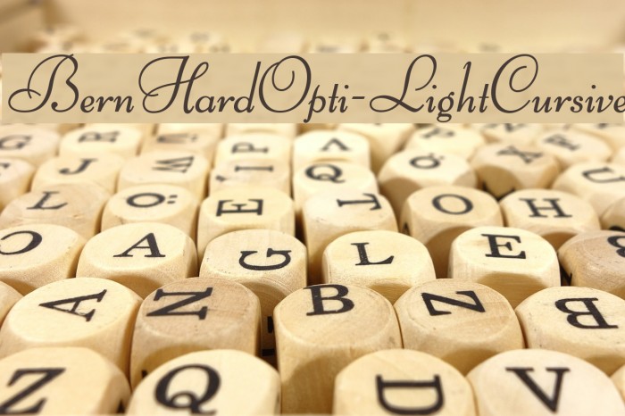 BernHardOpti-LightCursive Font examples