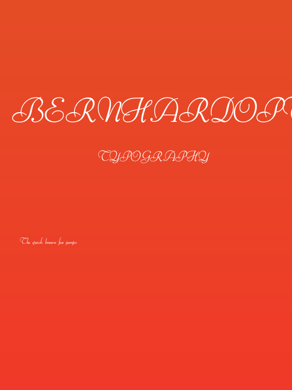 BernHardOpti-LightCursive Poster