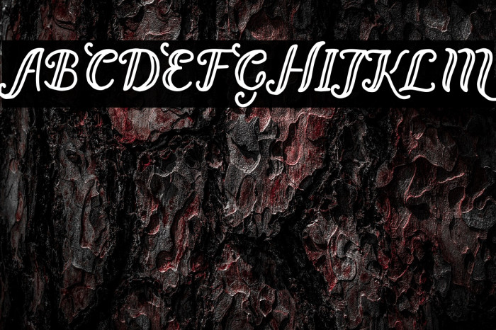 Bernadette Regular Example 1