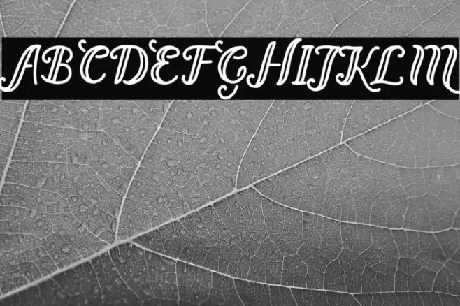 Bernadette Regular Font examples