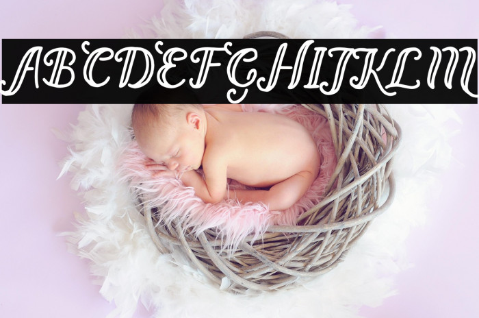 Bernadette Regular Example 3