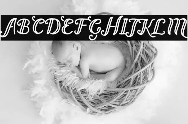 Bernadette Regular Font examples