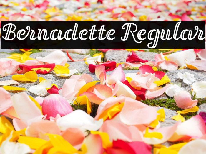 Bernadette Regular Example 2