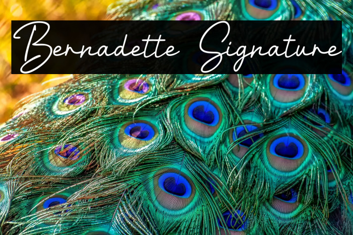 Bernadette Signature Example 2