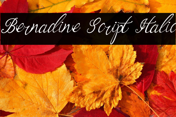 Bernadine Script Italic Example 2