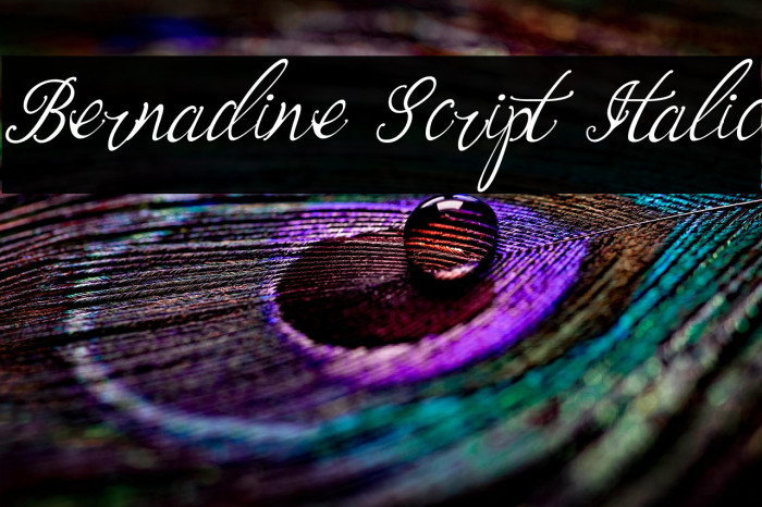 Bernadine Script Italic Example 3