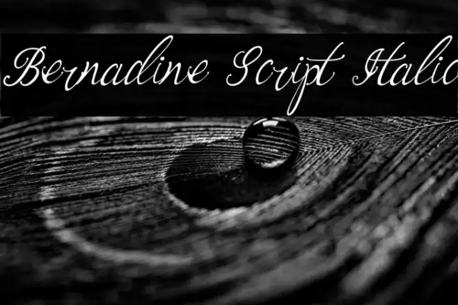 Bernadine Script Italic Font examples