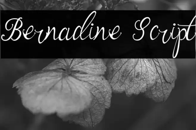 Bernadine Script Font examples