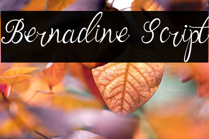Bernadine Script Example 3