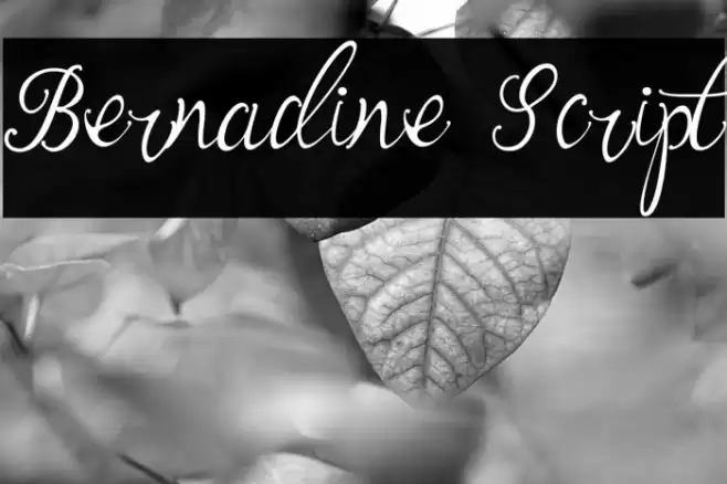 Bernadine Script Font examples