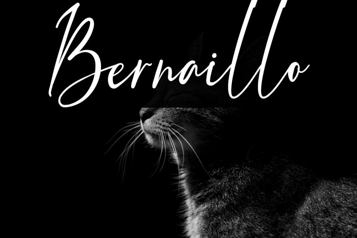 Bernaillo Example 1