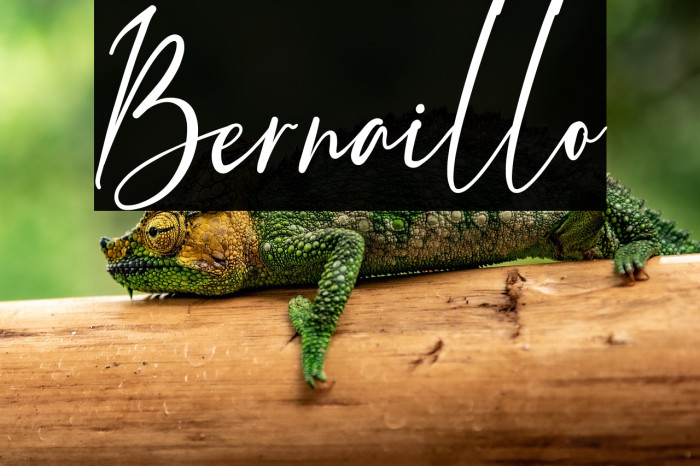 Bernaillo Example 3