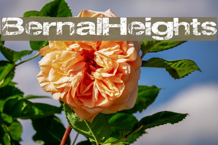 BernalHeights Font examples