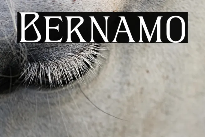 Bernamo Example 1