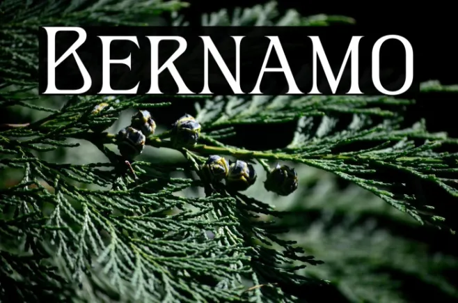 Bernamo Example 2