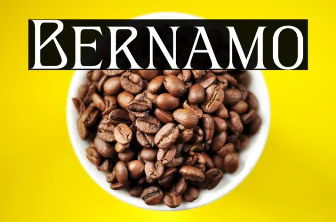 Bernamo Example 3