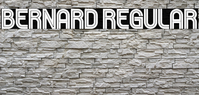 Bernard Regular Example 1