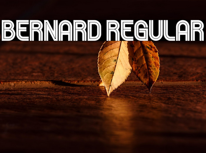 Bernard Regular Example 2