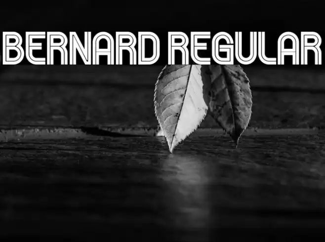 Bernard Regular Font examples