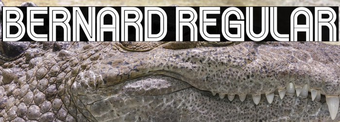 Bernard Regular Example 3