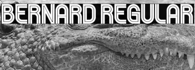 Bernard Regular Font examples