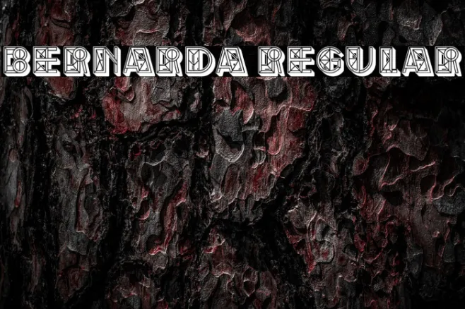 Bernarda Regular Example 2