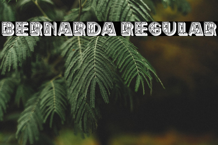 Bernarda Regular Example 3