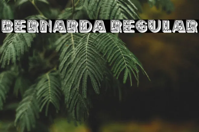 Bernarda Regular Example 3