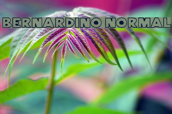Bernardino Normal フォント examples