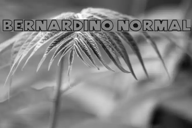Bernardino Normal Font examples